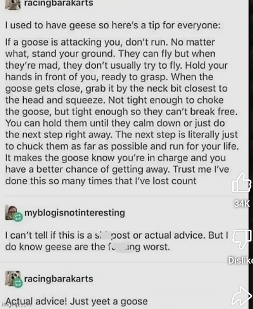 What to do if a goose attack you | made w/ Imgflip meme maker