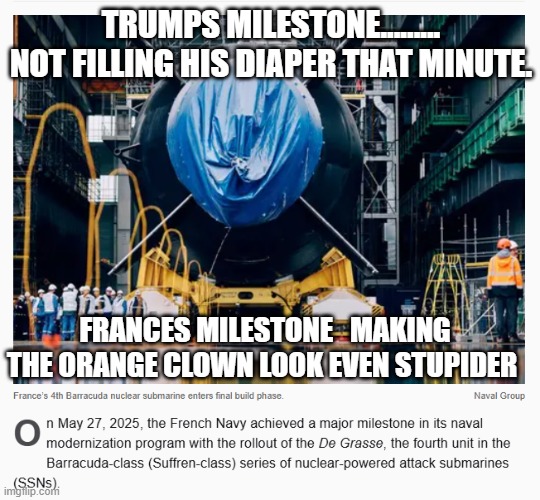 Trip and Fall Trump the moron | TRUMPS MILESTONE......... NOT FILLING HIS DIAPER THAT MINUTE. FRANCES MILESTONE   MAKING THE ORANGE CLOWN LOOK EVEN STUPIDER | image tagged in france sub | made w/ Imgflip meme maker