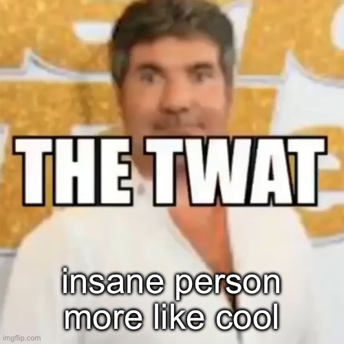 :3 | insane person more like cool | image tagged in the twat | made w/ Imgflip meme maker