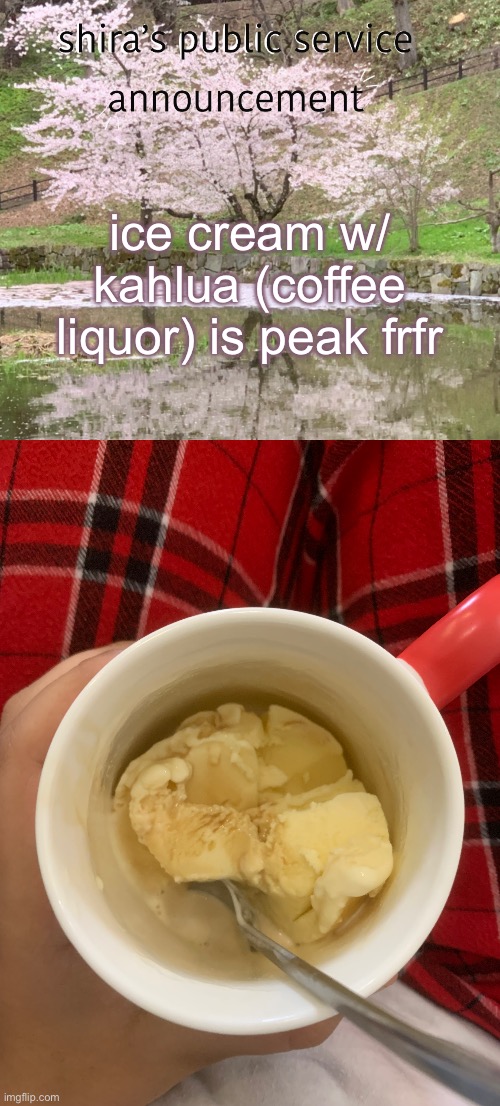 ice cream w/ kahlua (coffee liquor) is peak frfr | image tagged in shira s psa | made w/ Imgflip meme maker