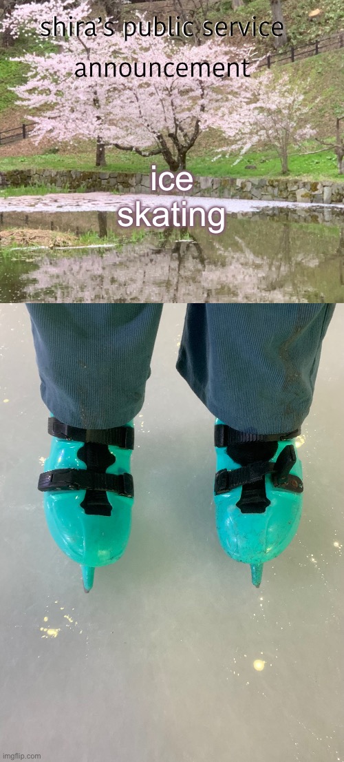 not a pro tho :( | ice skating | image tagged in shira s psa | made w/ Imgflip meme maker