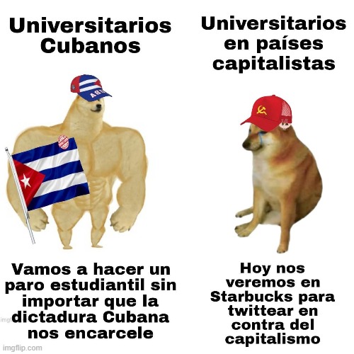 9wjv2d.jpg