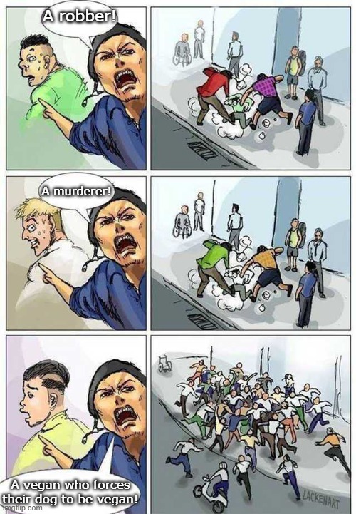 Vegans | A robber! A murderer! A vegan who forces their dog to be vegan! | image tagged in thief murderer,vegans,dog,cruel | made w/ Imgflip meme maker
