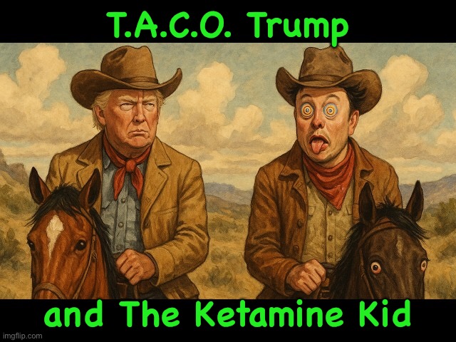 Every day and twice on Tuesday | T.A.C.O. Trump; and The Ketamine Kid | image tagged in trump and musk | made w/ Imgflip meme maker