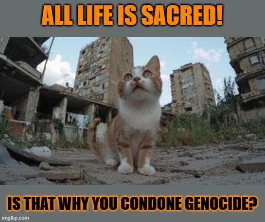 This #lolcat wonders how 'All life is sacred!' people can condone genocide | ALL LIFE IS SACRED! IS THAT WHY YOU CONDONE GENOCIDE? | image tagged in abortion,lolcat,genocide,zionism,palestine,conservative hypocrisy | made w/ Imgflip meme maker