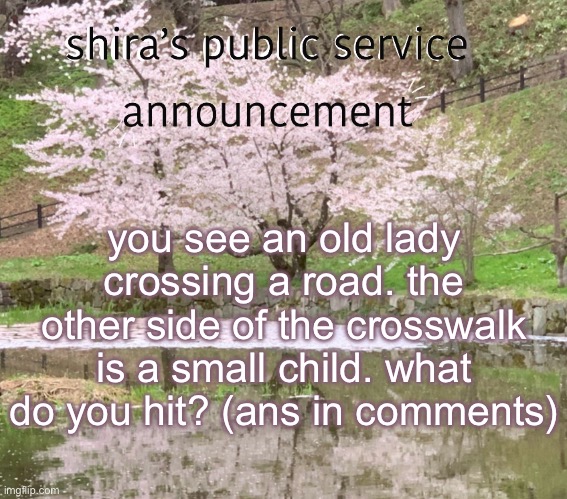 shira’s PSA | you see an old lady crossing a road. the other side of the crosswalk is a small child. what do you hit? (ans in comments) | image tagged in shira s psa | made w/ Imgflip meme maker