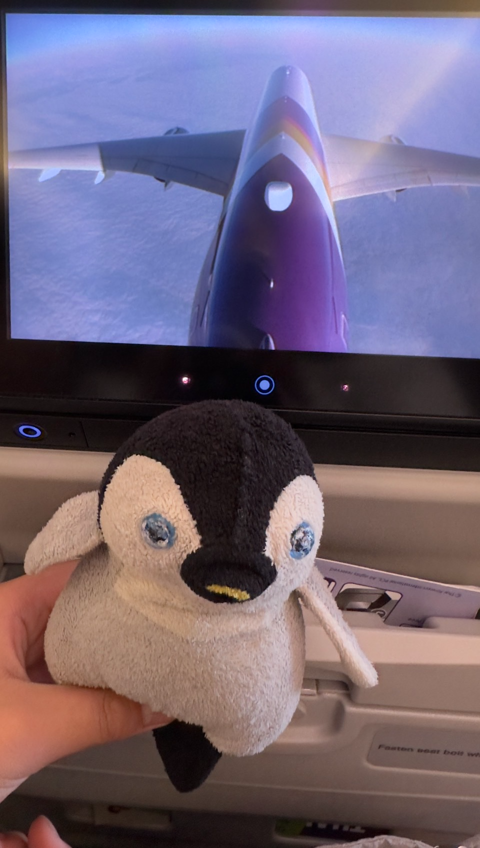 Penguin plush on plane Blank Meme Template
