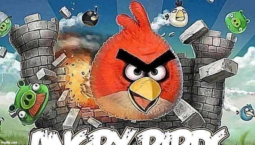 an   gr birbf | made w/ Imgflip meme maker