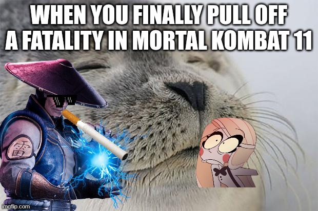 Satisfied Seal | WHEN YOU FINALLY PULL OFF A FATALITY IN MORTAL KOMBAT 11 | image tagged in memes,satisfied seal | made w/ Imgflip meme maker