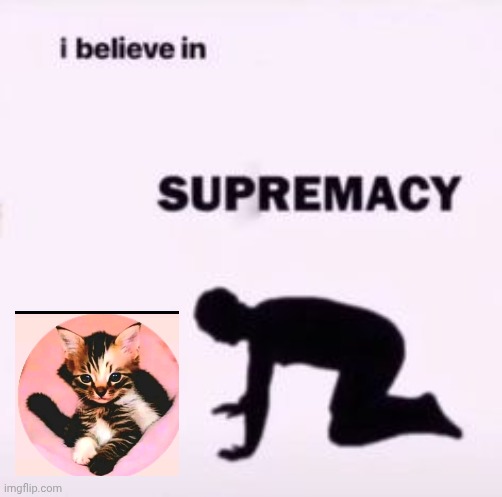 Kočička | image tagged in i believe in supremacy,cat | made w/ Imgflip meme maker