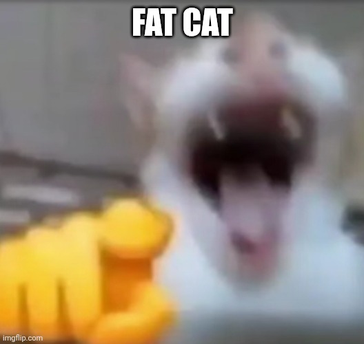 Cat pointing and laughing | FAT CAT | image tagged in cat pointing and laughing | made w/ Imgflip meme maker