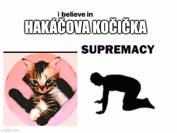 Hakáčová Kočička | HAKÁČOVA KOČIČKA | image tagged in i believe in blank supremacy,cat,cute | made w/ Imgflip meme maker