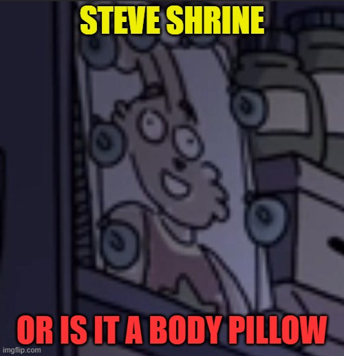 Steve shrine or body pillow | STEVE SHRINE; OR IS IT A BODY PILLOW | image tagged in pillow,minecraft steve | made w/ Imgflip meme maker