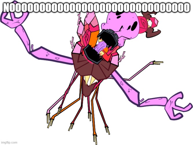 GRAAAAAAAAAH | NOOOOOOOOOOOOOOOOOOOOOOOOOOOOOO | image tagged in graaaaaaaaah | made w/ Imgflip meme maker