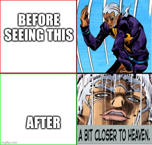 Jojo closer to heaven | BEFORE SEEING THIS AFTER | image tagged in jojo closer to heaven | made w/ Imgflip meme maker