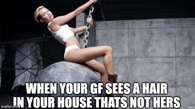 miley cyrus wreckingball | WHEN YOUR GF SEES A HAIR IN YOUR HOUSE THATS NOT HERS | image tagged in miley cyrus wreckingball | made w/ Imgflip meme maker