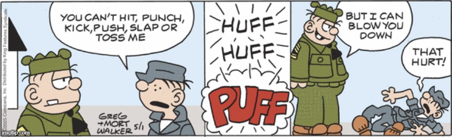 Beetle Bailey | image tagged in comics | made w/ Imgflip meme maker