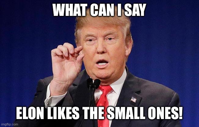 Little ones | WHAT CAN I SAY; ELON LIKES THE SMALL ONES! | image tagged in trump small fingers | made w/ Imgflip meme maker