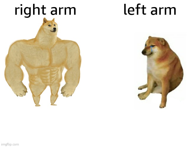 Relatable | right arm; left arm | image tagged in memes,buff doge vs cheems | made w/ Imgflip meme maker