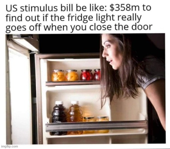 Not far from the truth... | image tagged in waste,waste of money,stimulus,abuse,bill,relatable | made w/ Imgflip meme maker