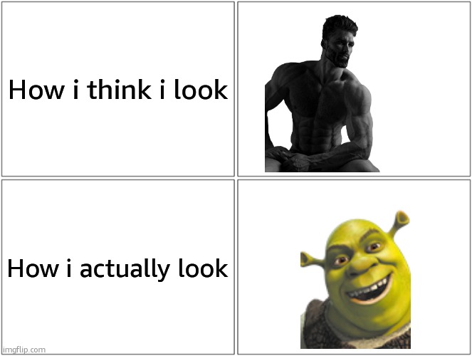 Beautifuly ugly | How i think i look; How i actually look | image tagged in memes,blank comic panel 2x2 | made w/ Imgflip meme maker