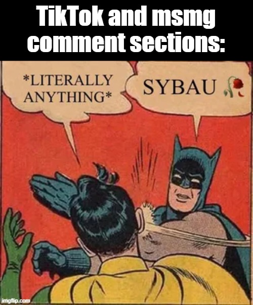 TikTok and msmg comment sections: | made w/ Imgflip meme maker