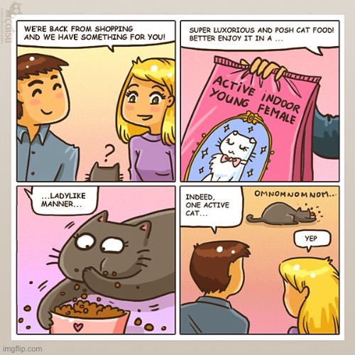 image tagged in cats,cat food,hungry | made w/ Imgflip meme maker