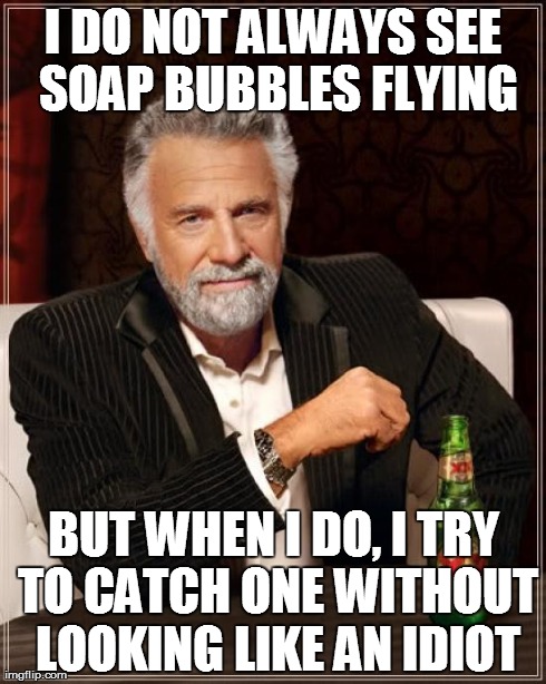 The Most Interesting Man In The World Meme | I DO NOT ALWAYS SEE SOAP BUBBLES FLYING BUT WHEN I DO, I TRY TO CATCH ONE WITHOUT LOOKING LIKE AN IDIOT | image tagged in memes,the most interesting man in the world | made w/ Imgflip meme maker
