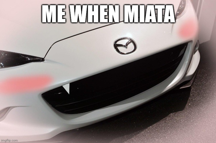 they're so cute tbh | ME WHEN MIATA | image tagged in miata | made w/ Imgflip meme maker