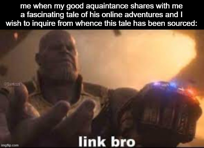 Mods, have fun with the title of this image, Imma go eat | me when my good aquaintance shares with me a fascinating tale of his online adventures and I wish to inquire from whence this tale has been sourced: | image tagged in link bro,anti meme | made w/ Imgflip meme maker