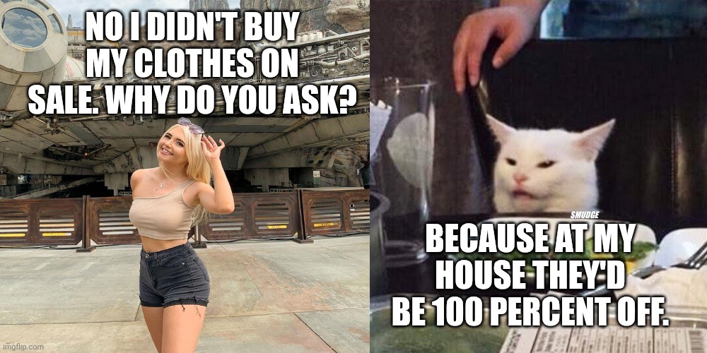 Smudge that darn cat with Karen | NO I DIDN'T BUY MY CLOTHES ON SALE. WHY DO YOU ASK? BECAUSE AT MY HOUSE THEY'D BE 100 PERCENT OFF. | image tagged in smudge that darn cat with karen | made w/ Imgflip meme maker