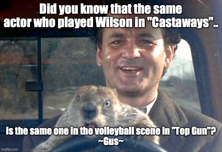 Volleyball Tournament  | Did you know that the same actor who played Wilson in "Castaways".. is the same one in the volleyball scene in "Top Gun"?
~Gus~ | image tagged in volleyball tournament | made w/ Imgflip meme maker