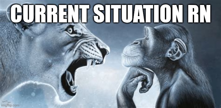tiger yell at pondering monkey | CURRENT SITUATION RN | image tagged in tiger yell at pondering monkey | made w/ Imgflip meme maker