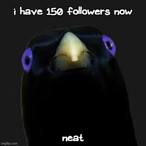 e | i have 150 followers now; neat | image tagged in u want sum fuk | made w/ Imgflip meme maker
