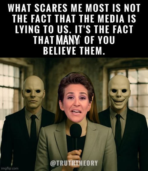 Lying liars and the fools who believe them | MANY | image tagged in rachel maddow,liar | made w/ Imgflip meme maker