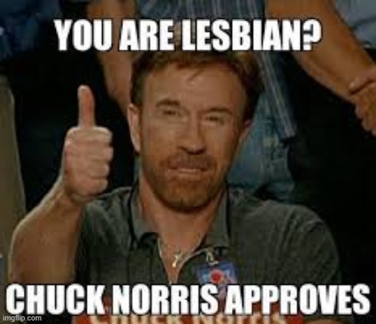 Chuck Norris Approves | image tagged in repost | made w/ Imgflip meme maker