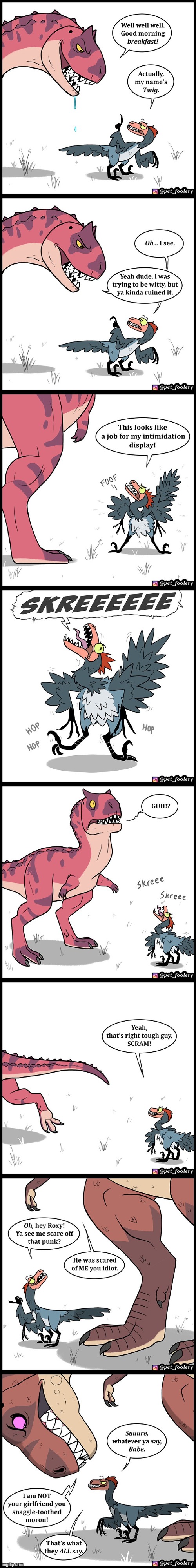 image tagged in dinosaurs,velociraptor,breakfast,intimidation,scared,lol | made w/ Imgflip meme maker