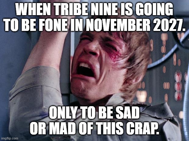 luke nooooo | WHEN TRIBE NINE IS GOING TO BE FONE IN NOVEMBER 2027. ONLY TO BE SAD OR MAD OF THIS CRAP. | image tagged in luke nooooo | made w/ Imgflip meme maker