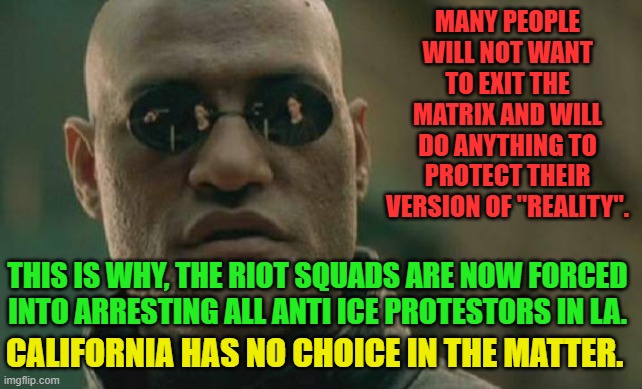 Matrix Morpheus Meme | MANY PEOPLE WILL NOT WANT TO EXIT THE MATRIX AND WILL DO ANYTHING TO PROTECT THEIR VERSION OF "REALITY". THIS IS WHY, THE RIOT SQUADS ARE NOW FORCED INTO ARRESTING ALL ANTI ICE PROTESTORS IN LA. CALIFORNIA HAS NO CHOICE IN THE MATTER. | image tagged in memes,matrix morpheus | made w/ Imgflip meme maker