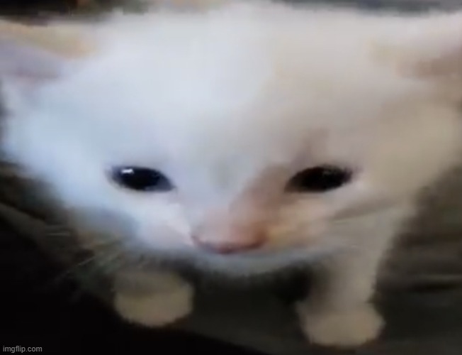 Herbert | image tagged in herbert | made w/ Imgflip meme maker