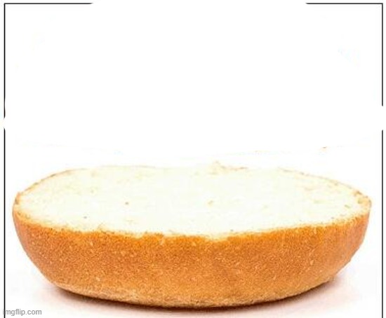 What should i add to this burger | image tagged in nothing burger | made w/ Imgflip meme maker