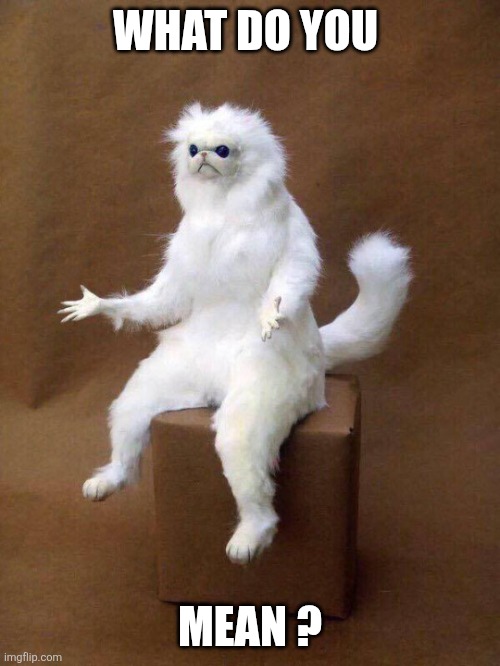 What do you mean? | WHAT DO YOU; MEAN ? | image tagged in white cat what | made w/ Imgflip meme maker