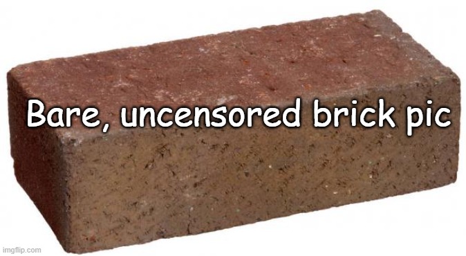 brick reveal | Bare, uncensored brick pic | image tagged in brick | made w/ Imgflip meme maker