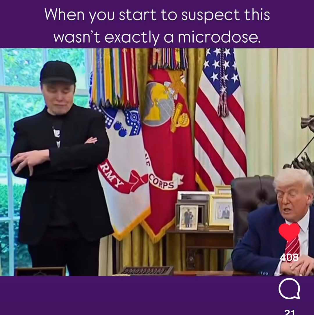 Microdoge Blank Meme Template