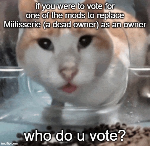 ts nothing serious just curious (le sans de topic) | if you were to vote for one of the mods to replace Miitisserie (a dead owner) as an owner; who do u vote? | image tagged in mr shock stare,undertale,understream,mods,mod,moderation | made w/ Imgflip meme maker