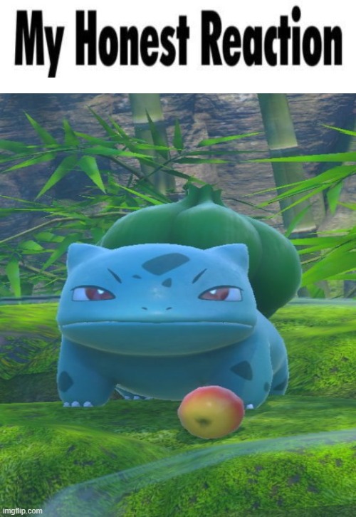 my honest reaction bubslaur | image tagged in my honest reaction blank | made w/ Imgflip meme maker