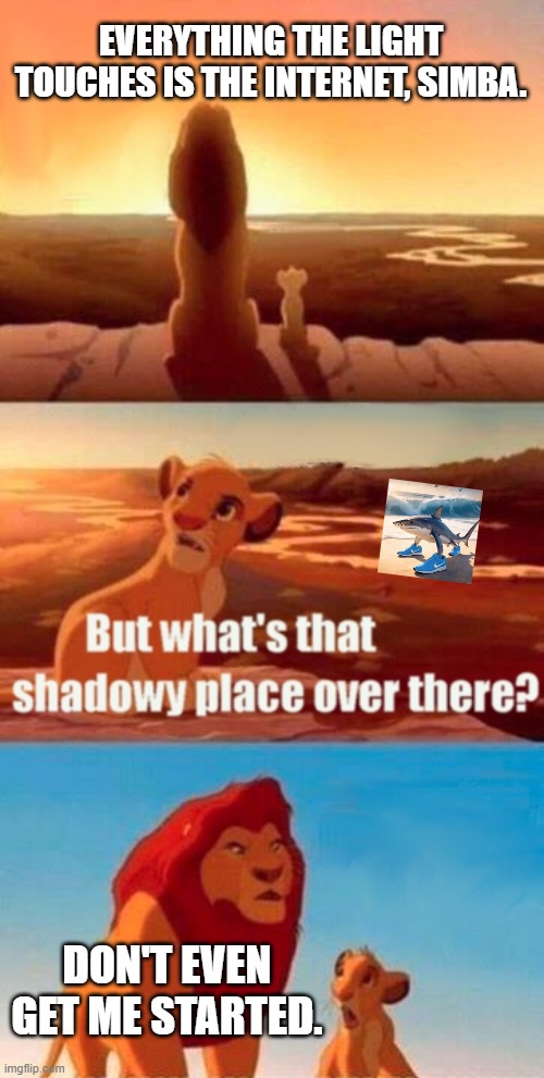 Simba Shadowy Place | EVERYTHING THE LIGHT TOUCHES IS THE INTERNET, SIMBA. DON'T EVEN GET ME STARTED. | image tagged in memes,simba shadowy place | made w/ Imgflip meme maker