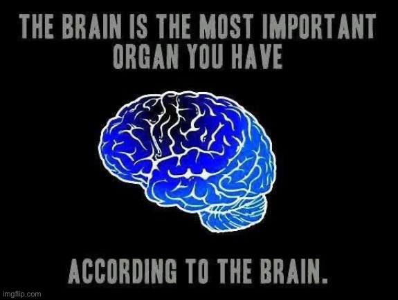 Brain | image tagged in brain | made w/ Imgflip meme maker