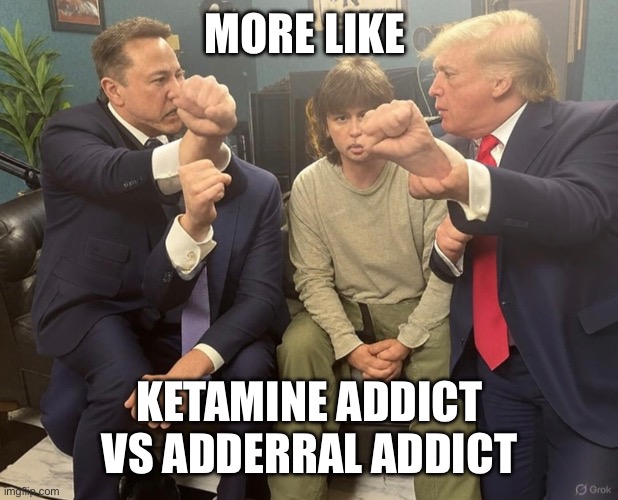 Elon Fighting Trump | MORE LIKE KETAMINE ADDICT VS ADDERRAL ADDICT | image tagged in elon fighting trump | made w/ Imgflip meme maker
