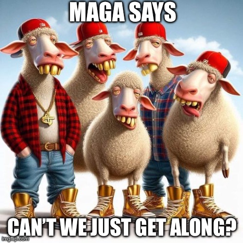 MAGA SAYS CAN’T WE JUST GET ALONG? | image tagged in trumpers | made w/ Imgflip meme maker